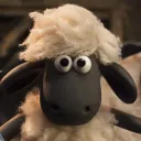 finn.the.sheep