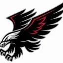 nighthawk