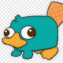 synw_12883 member profile picture