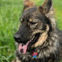 xaathm#2652's avatar