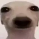 bambj
