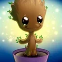 zolro