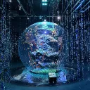 kurage02184のアバター