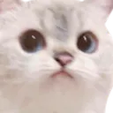 ltnotzoclutch