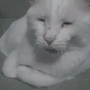 ♕𝕶𝖓1𝖌𝖍𝖙♕