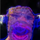 n0_rmal