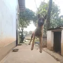 hakketa