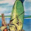 sakhal_6767's avatar