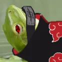 kamisetsuei