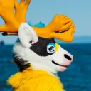 conradcaribou