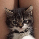 Tom