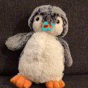 I am pinguin