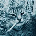 overlaythekitty