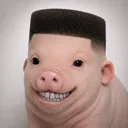 hillbelly