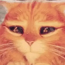 kitkatgayxbox