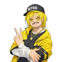 nitr0bird