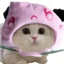 yanebun