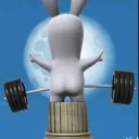 rabbit03083