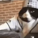 beastbets