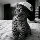 Real15_