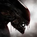 brudor