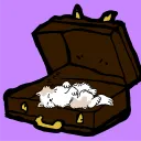 briefcasecat