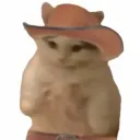 zachy