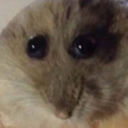 jacob99396 member profile picture