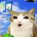 _floof