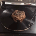 unannouncedfart