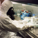 phex8424#2673's avatar