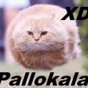 kimix
