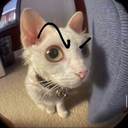 Drift.RIP Discord User Avatar