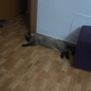 NTX_Samu070