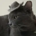 tkwolf13