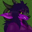 snuggledragonessxegrashi