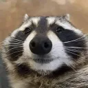mysteriousswede
