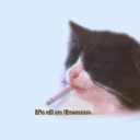 avatar ٴٴٴٴLarry