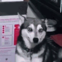 midi.gg#5782's avatar