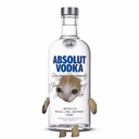 Profilbild för Kungen1223