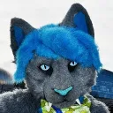orbitcat