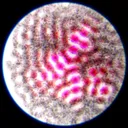 ciphrd