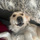 avatar 🤍꧁ღ⊱🖤 jade 🖤⊱ღ꧂🤍