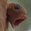 xanaxsy#0992's avatar