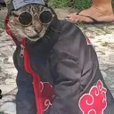 .jrdn