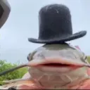 Nelson's Avatar