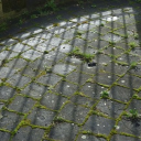 avatar life within the pavement