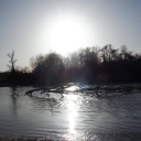 avatar what the world brings us