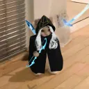 projectashena