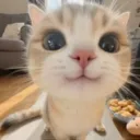 Me